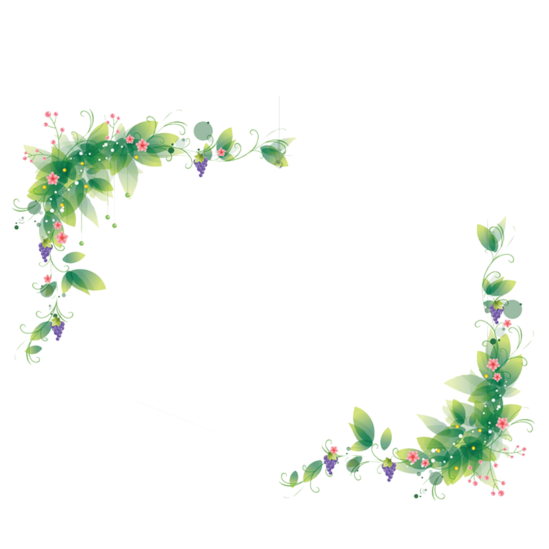 Frame Flower Ornament Fresh Transparent PNG Image