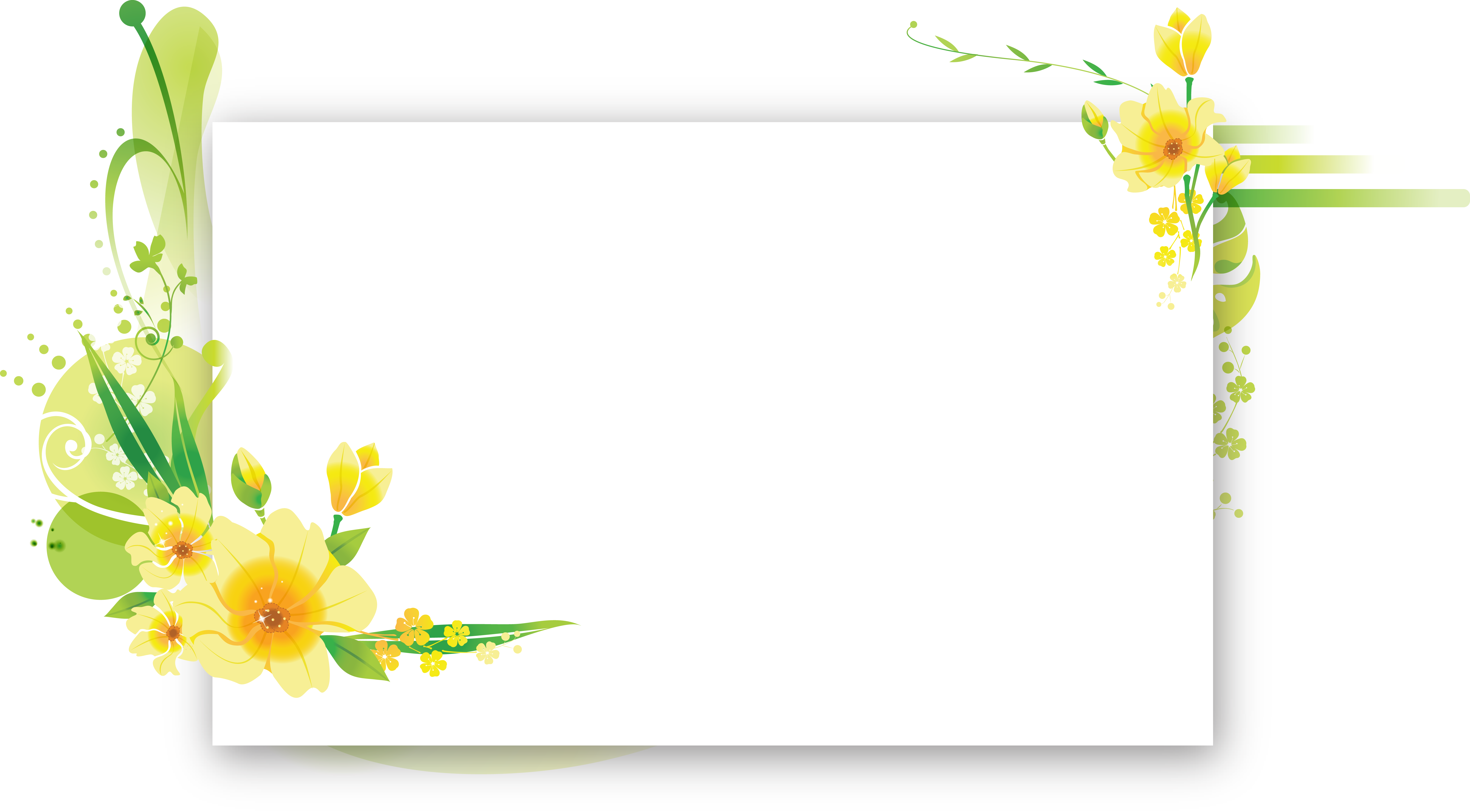 Flower Text Frame Floral Birthday Design Transparent PNG Image