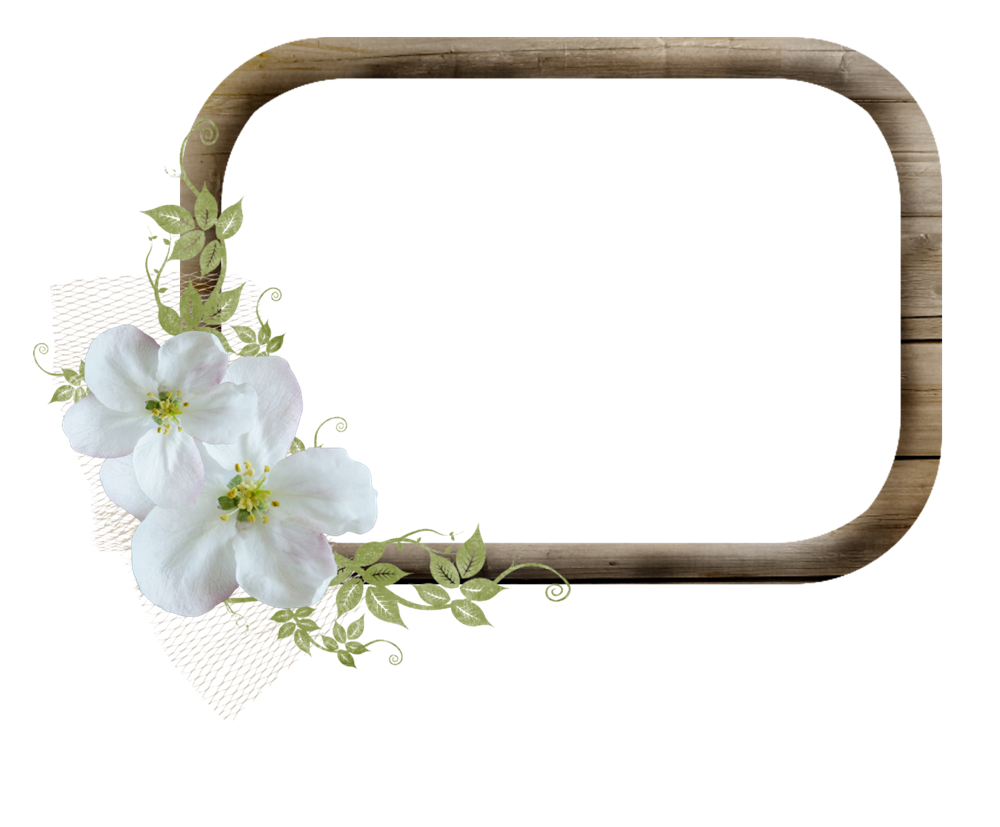 Plants Flower Border Creative Transparent PNG Image