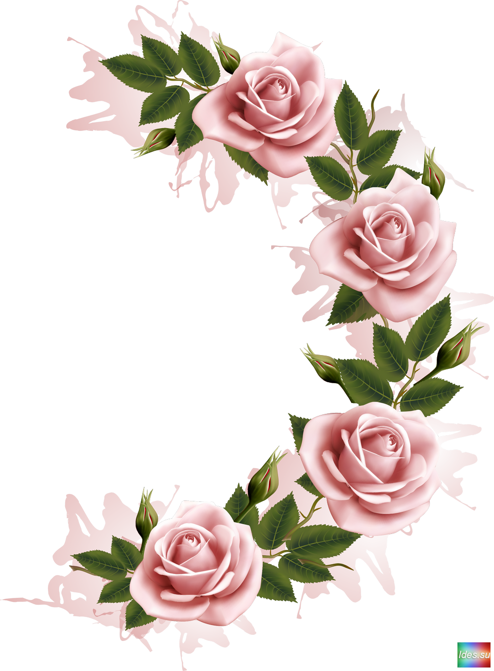 graphy Flower Frame Stock Transparent PNG Image