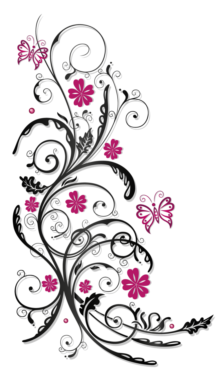 Pink Flower graphy Ornaments Tendril Stock Transparent PNG Image