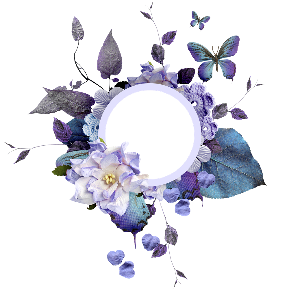 Vector Material Flower Border Videos Transparent PNG Image