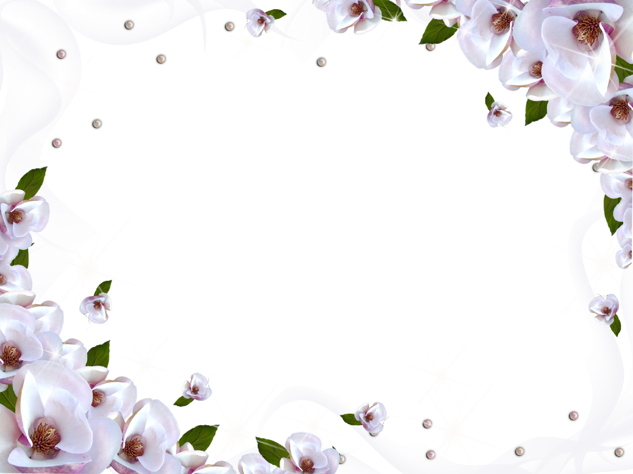 White Flower Frame Wallpaper Transparent PNG Image
