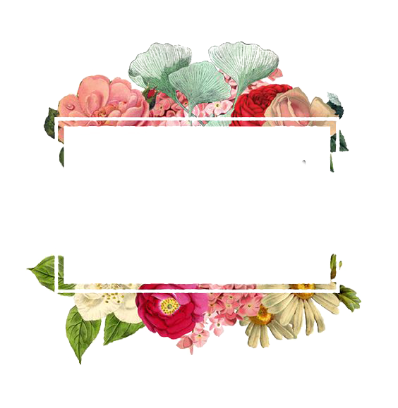 Paper Logo Flowers Flower Border Transparent PNG Image