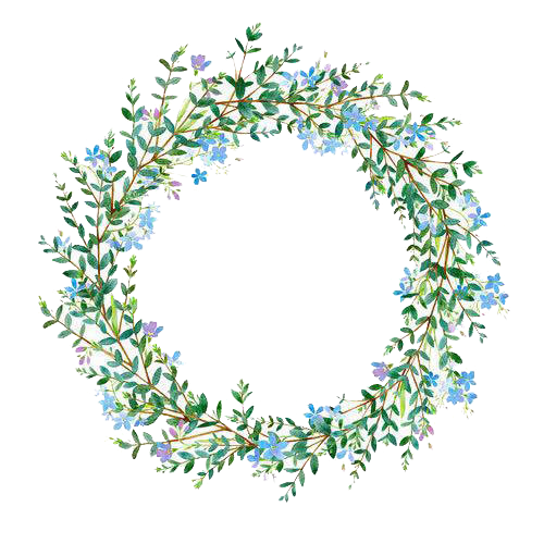 Flower graphy Wreath Illustration Ring Grass Stock Transparent PNG Image