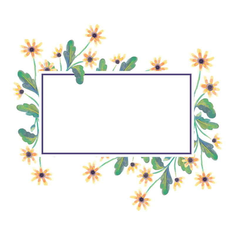 Chrysanthemum Frame Vector Flower Illustration File Transparent PNG Image