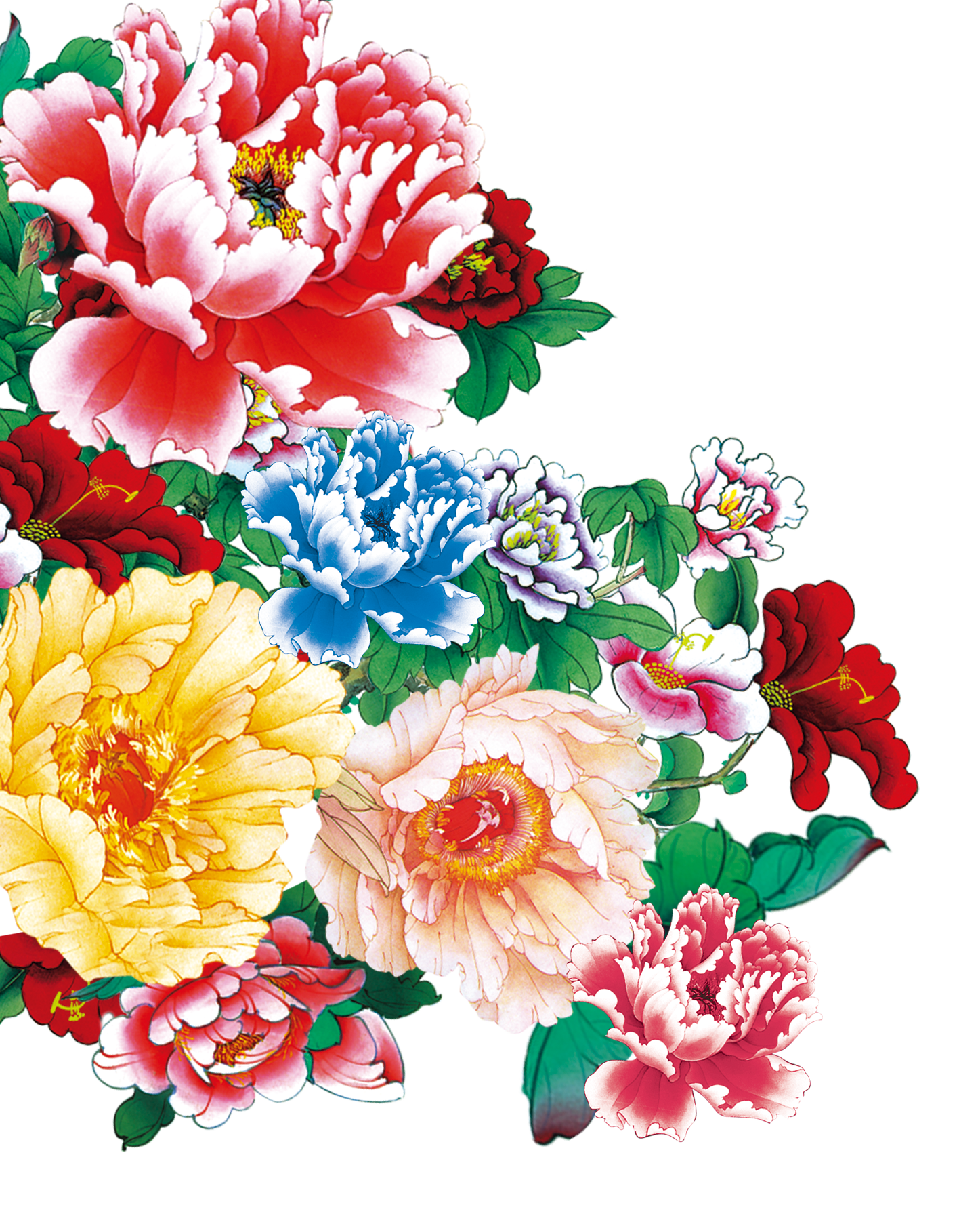 Moutan Peony Transparent PNG Image