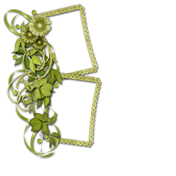 Frame Flower Chrysanthemum Transparent PNG Image