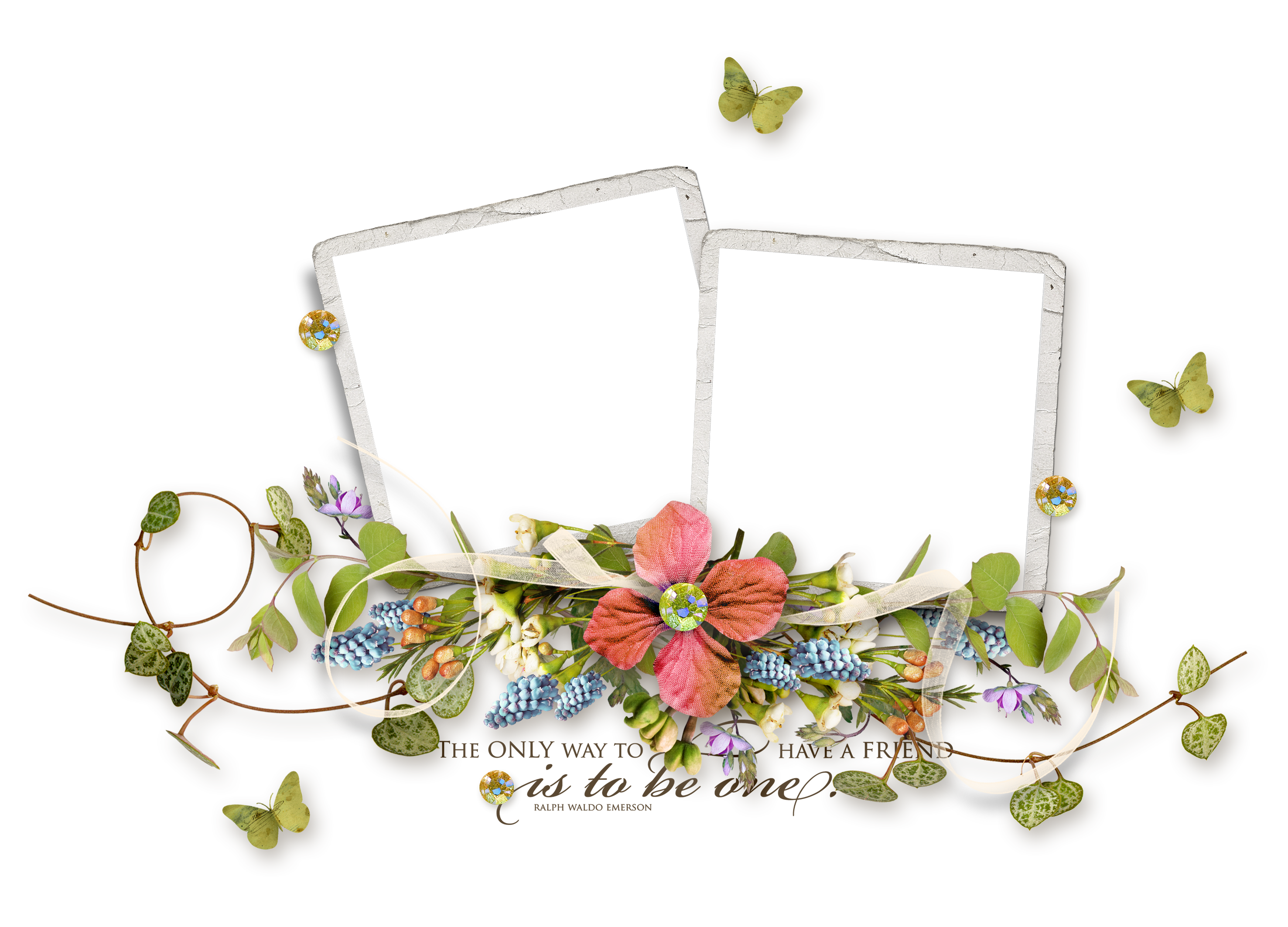 Frame Vector Flower Euclidean Transparent PNG Image