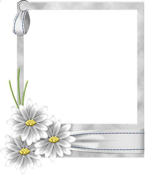Frame Flower White Transparent PNG Image