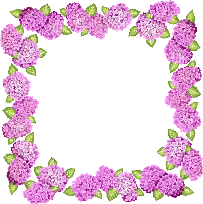 Purple Frame Flower Transparent PNG Image
