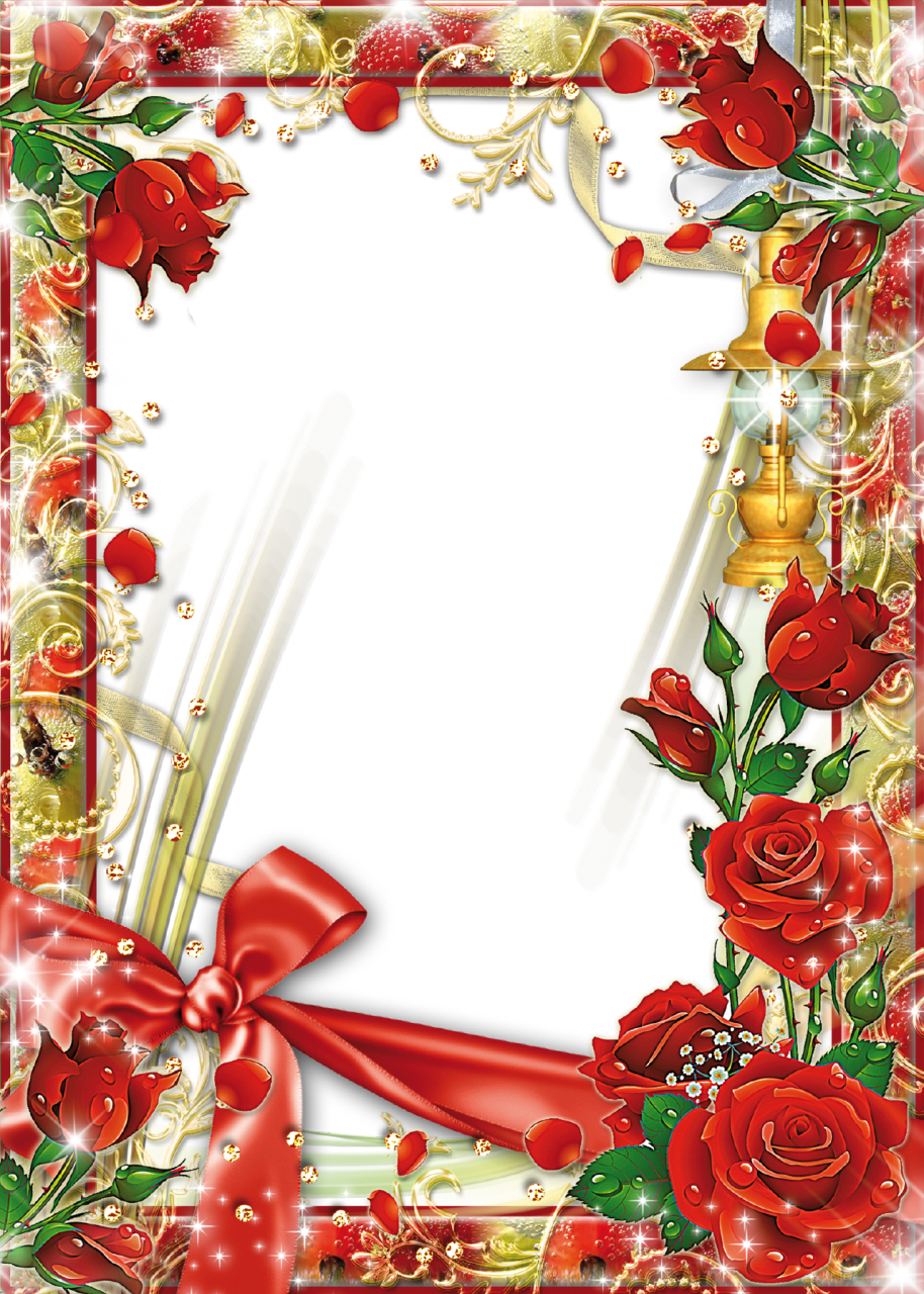 Flower Rose Frame Red Transparent PNG Image