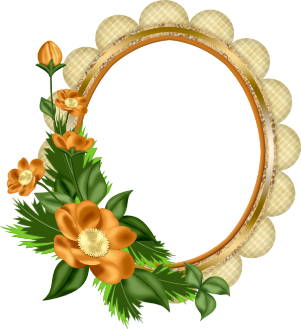 Flower Quadro Floral Design Frames Transparent PNG Image