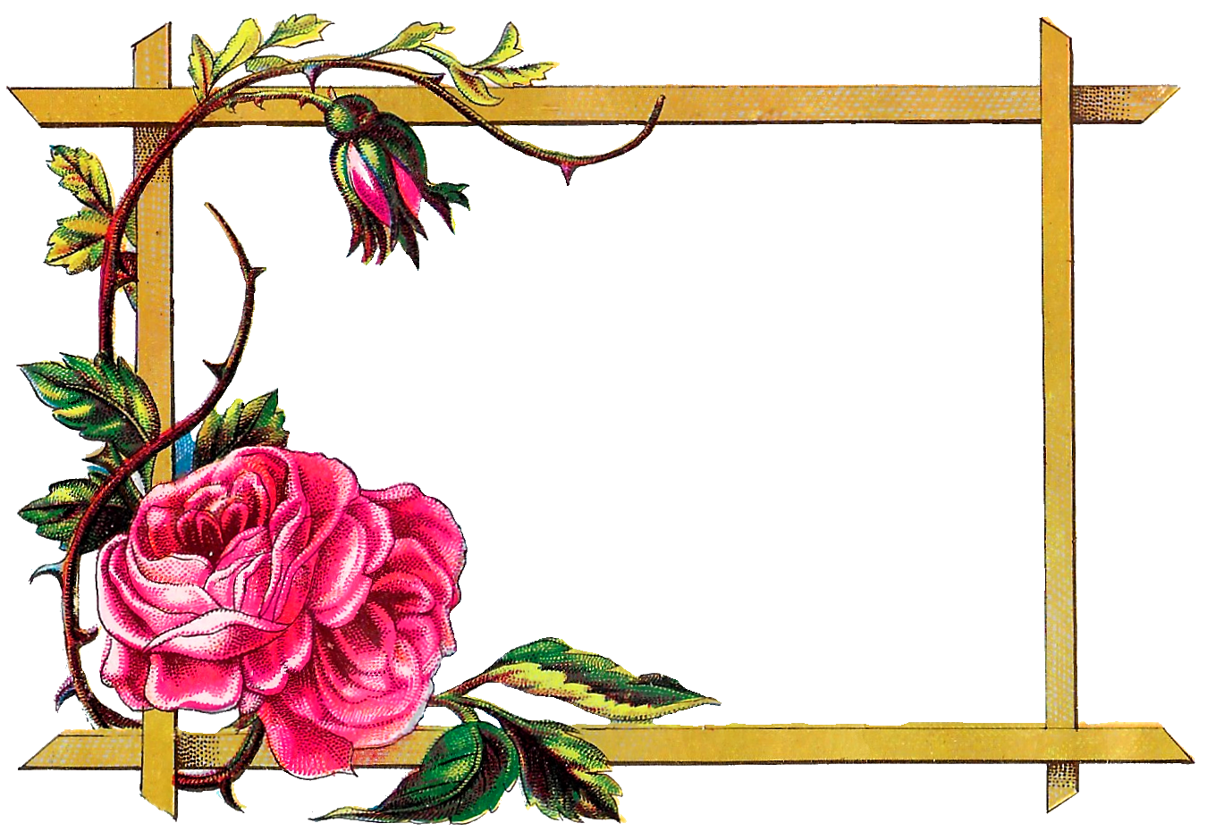 Frames Frame Flower Art Transparent PNG Image