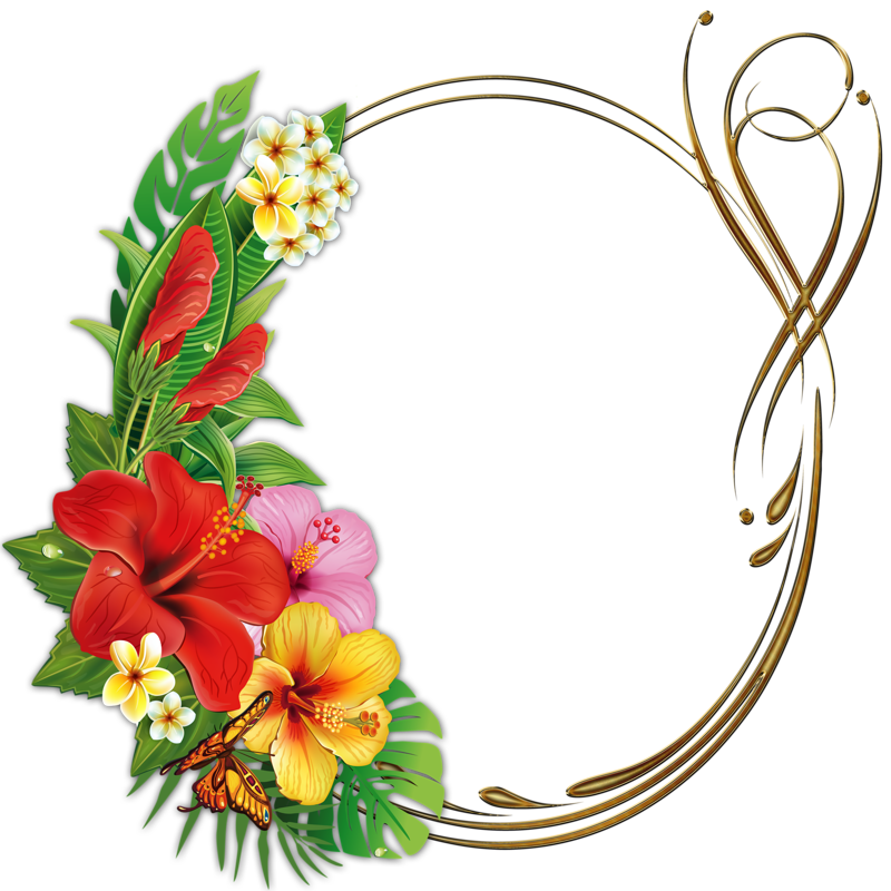 Frames Flower Transparent PNG Image