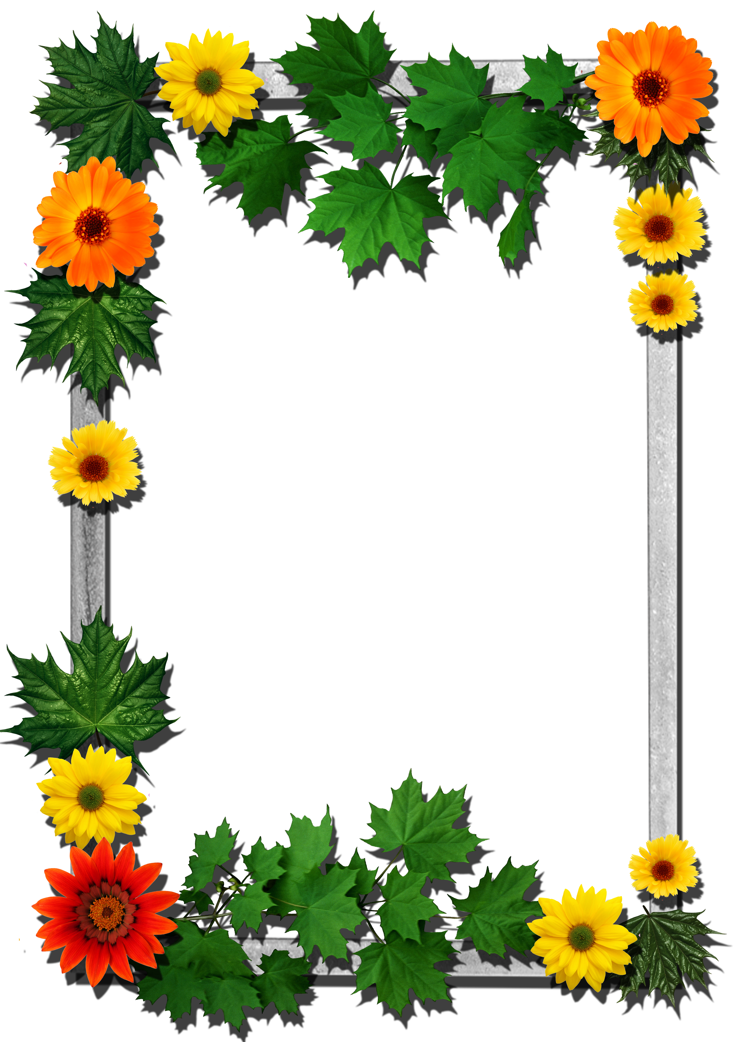 Frames Frame Flower Transparent PNG Image