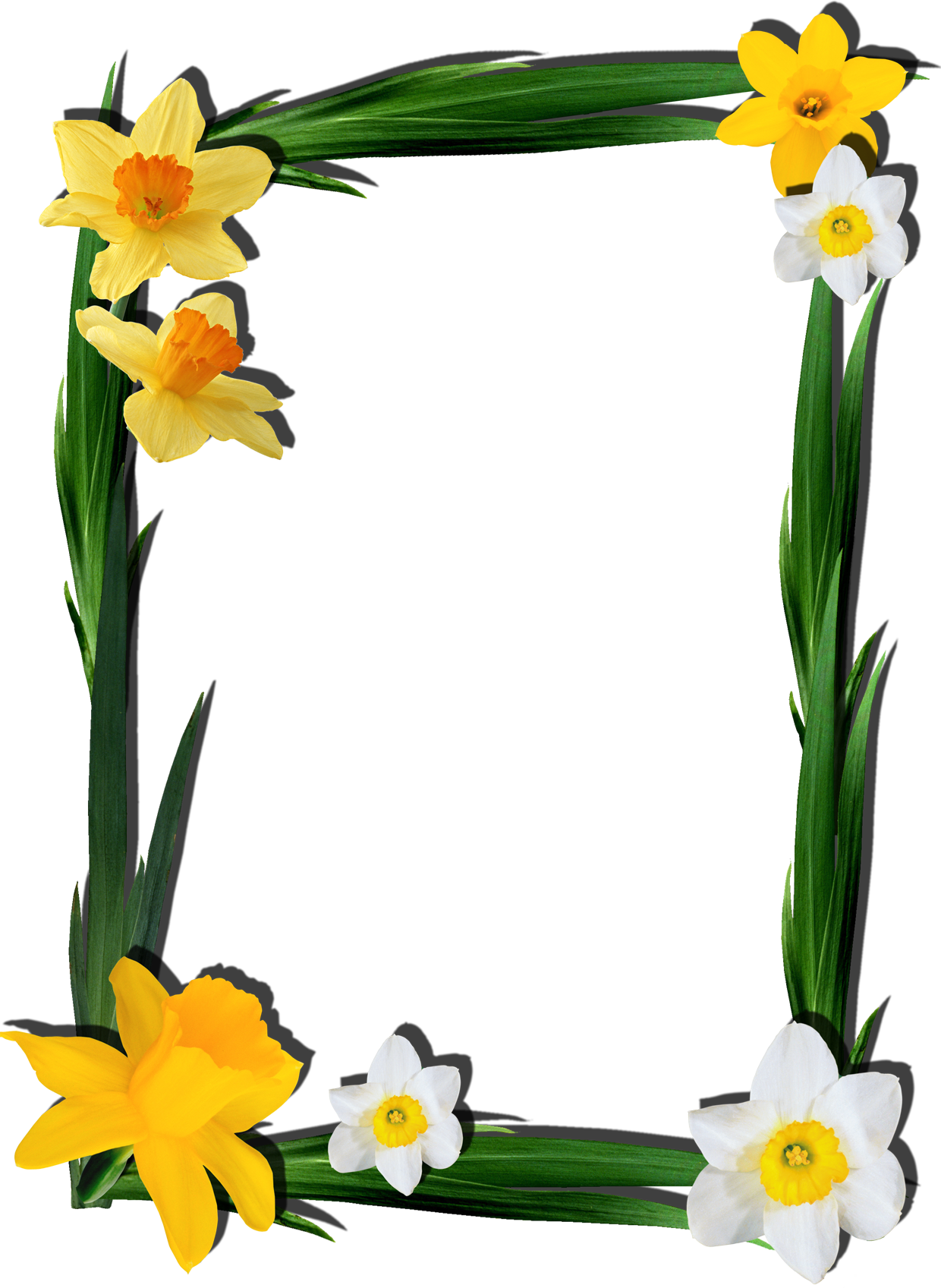 Adobe Portable hop Design Graphics Frames Transparent PNG Image