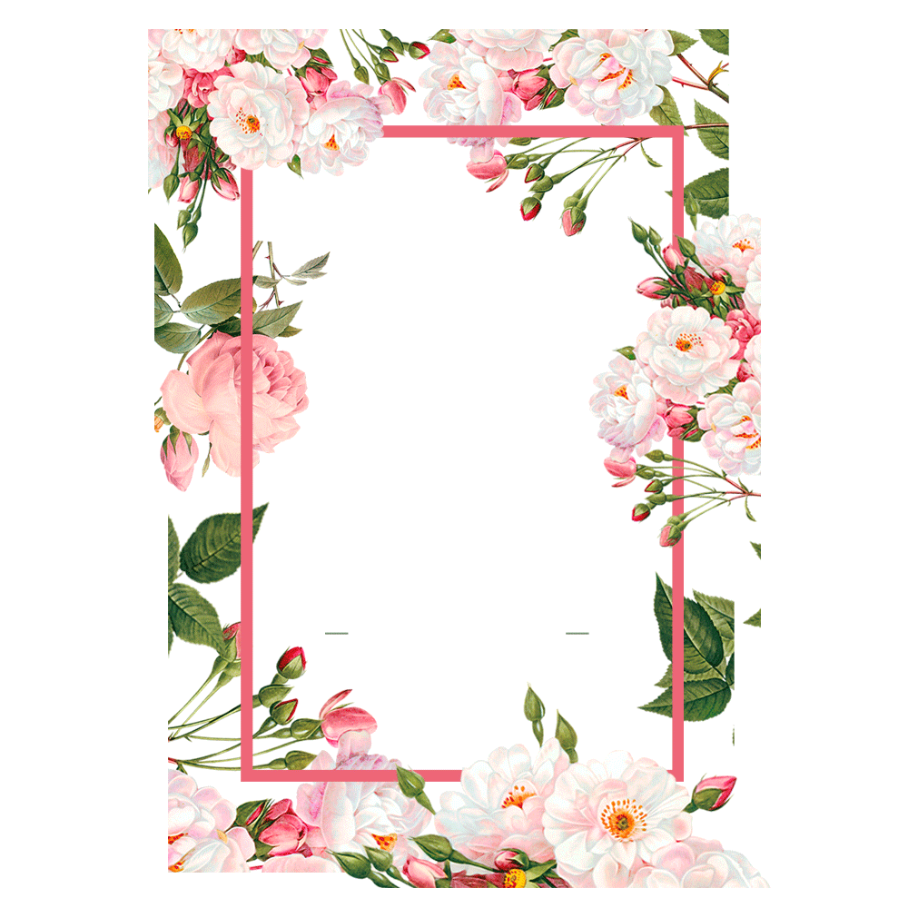 Pink Borders Flower Transparent PNG Image