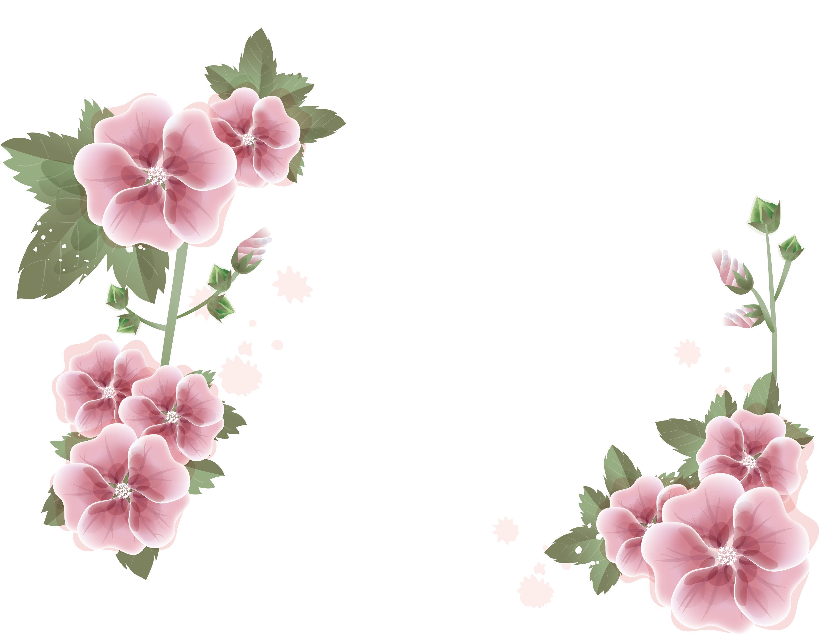 Pink Flower graphy Royalty- Border Stock Transparent PNG Image