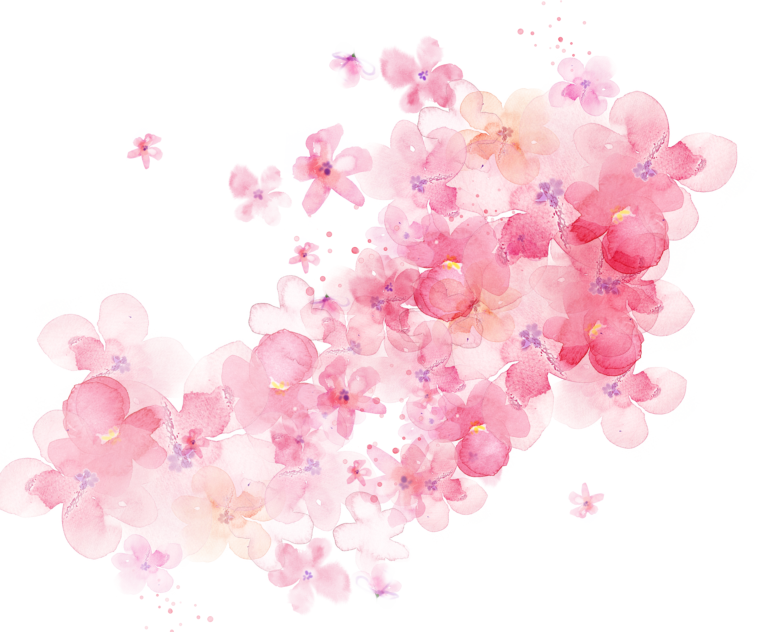 Watercolor Shading Flowers Flower Painting Transparent PNG Image