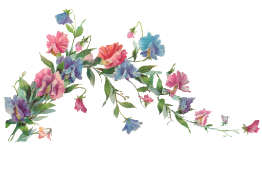 Vector Flower Artwork Transparent PNG Image