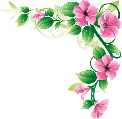 Vector Flower Artwork Transparent PNG Image