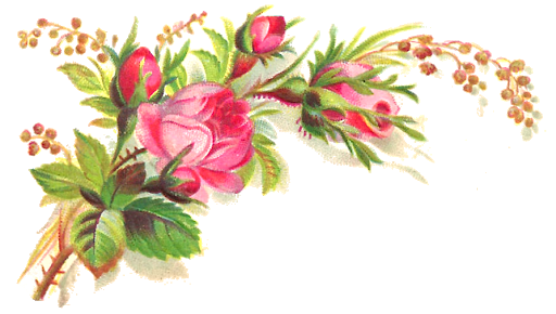 Vector Flower Artwork Transparent PNG Image