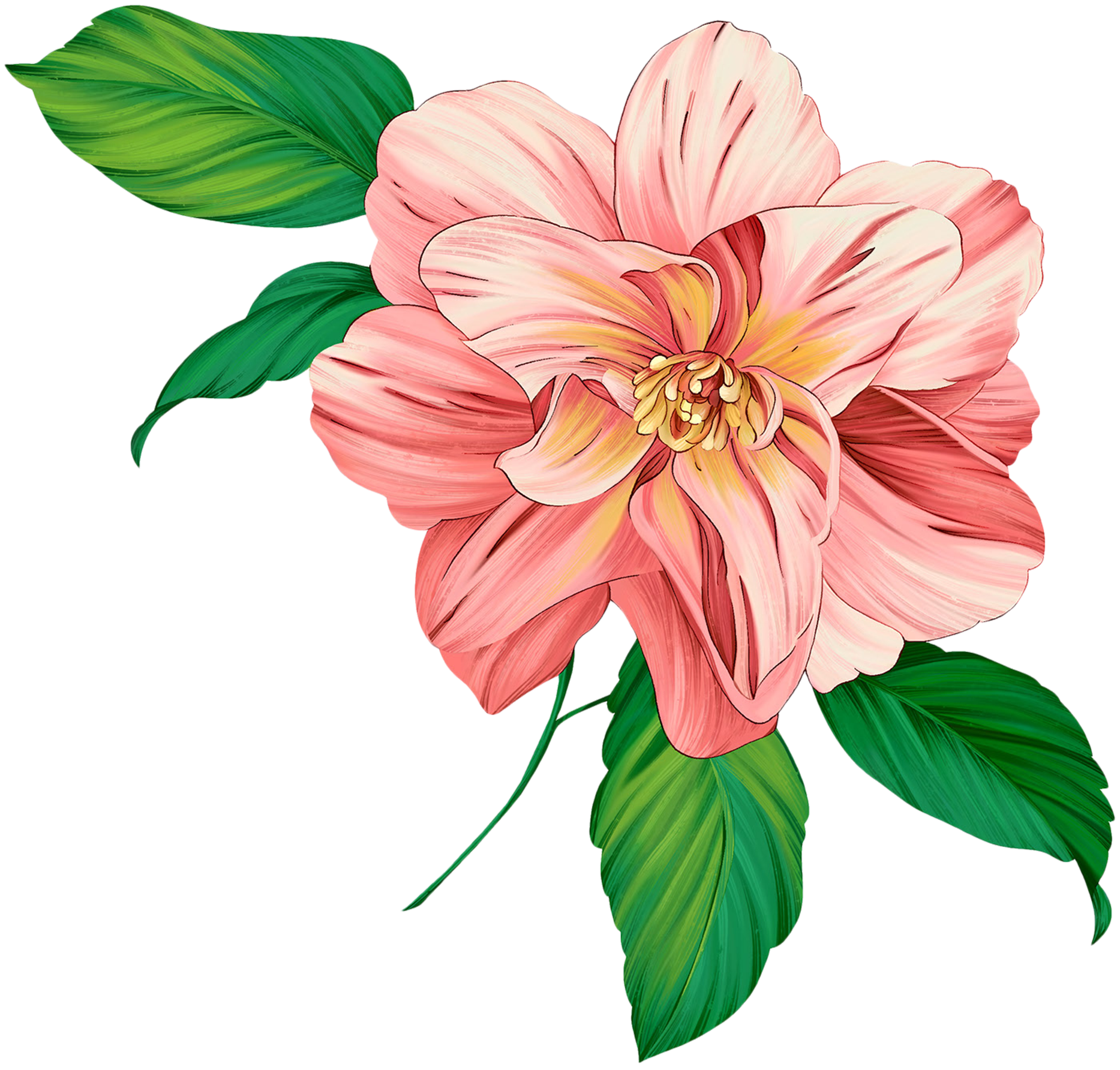 Flower Artwork Transparent PNG Image