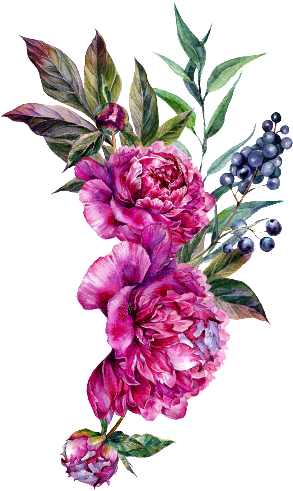 Flower Artwork File Transparent PNG Image