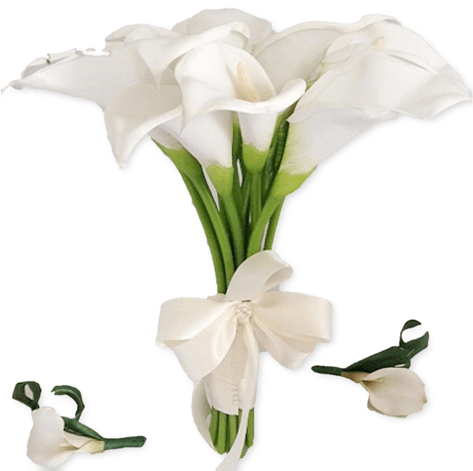 Botany Lily Calla Transparent PNG Image