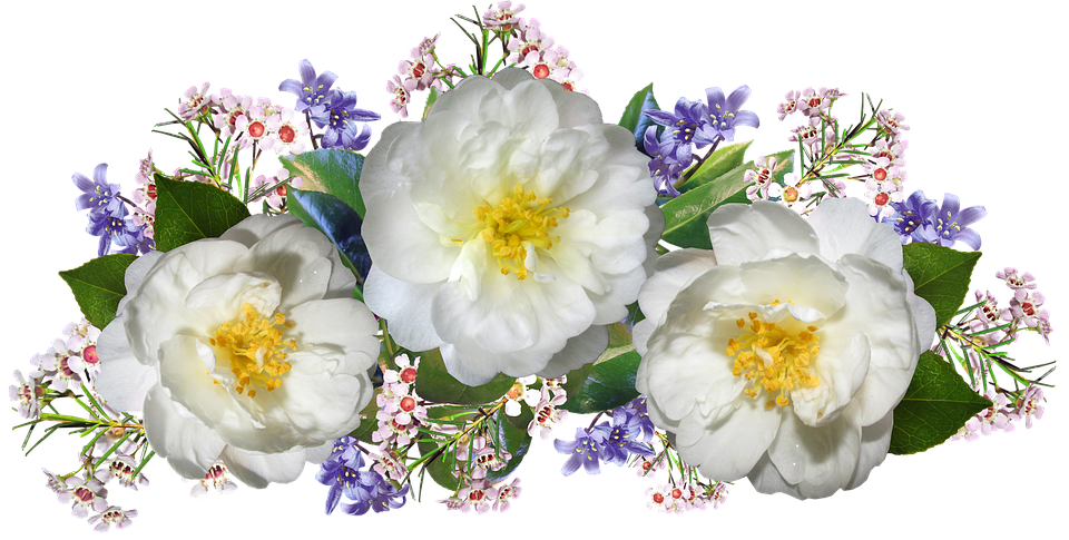 Flower Bluebells Transparent PNG Image