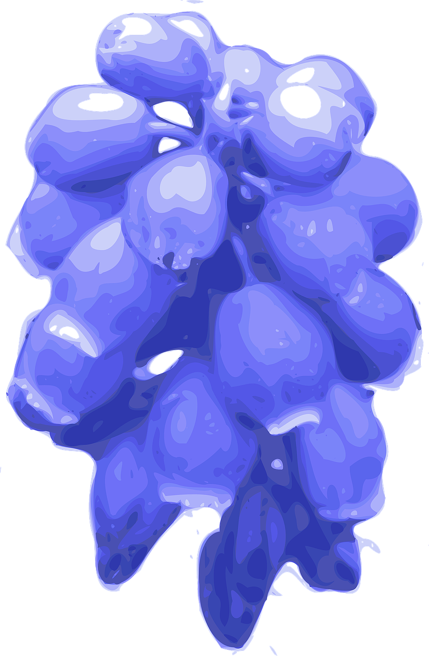 Bluebells Transparent PNG Image