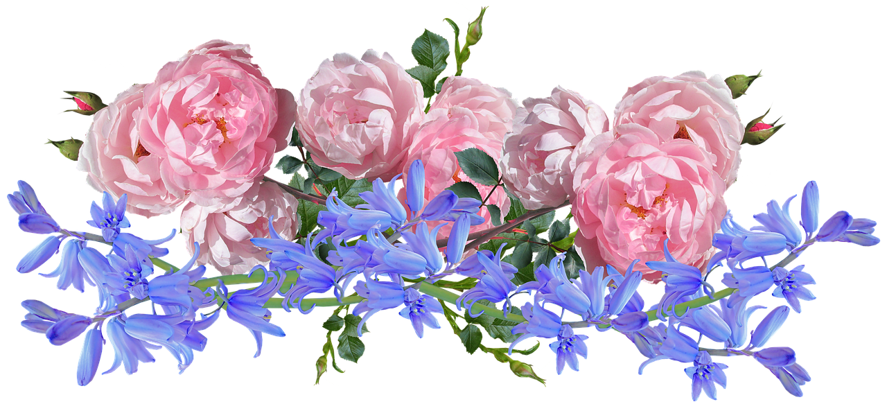 Bluebells Transparent PNG Image