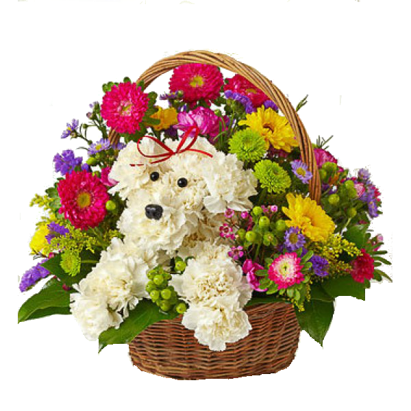 Birthday Flowers Bouquet Transparent PNG Image