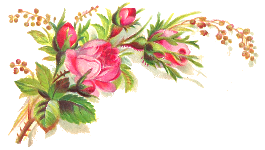 Pink Roses Flowers Bouquet Background Transparent PNG Image