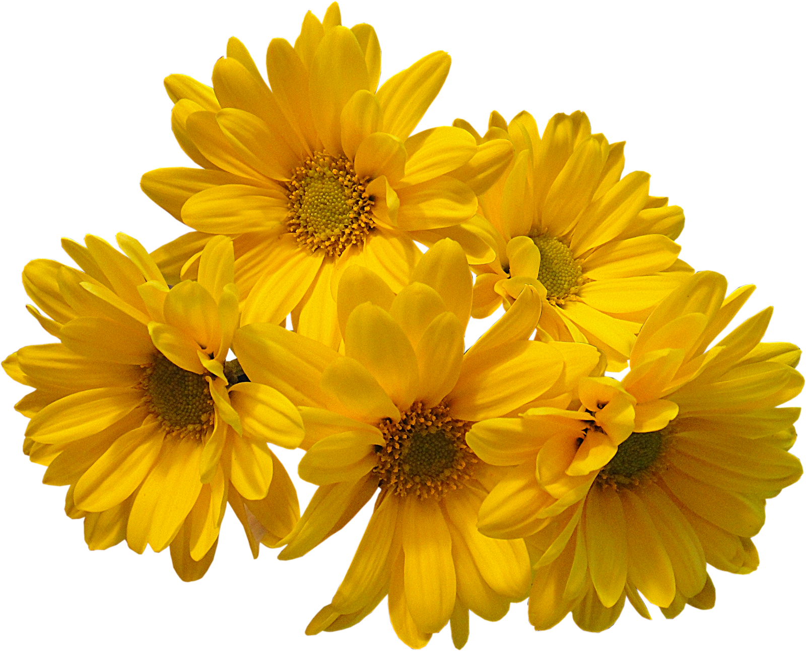 Yellow Flowers Bouquet Transparent PNG Image