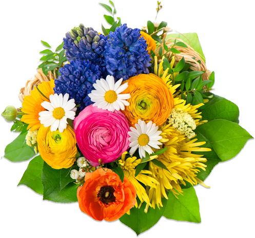 Flowers Transparent PNG Image