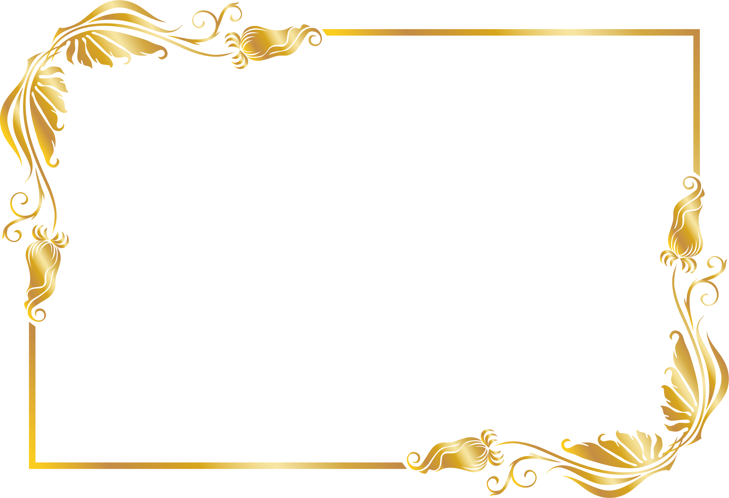 Golden Line Flowers Lines Of Transparent PNG Image