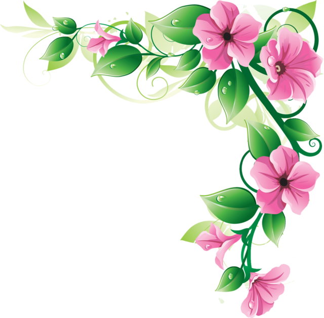 Flowers Borders Transparent PNG Image