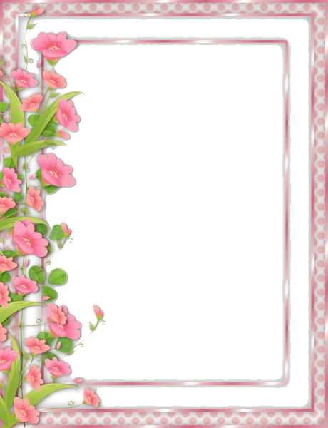 Flowers Borders Transparent PNG Image