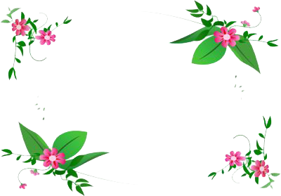 Flowers Borders Transparent PNG Image