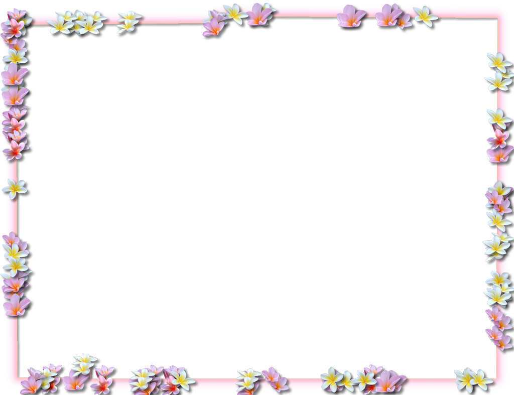 Flowers Borders Transparent PNG Image