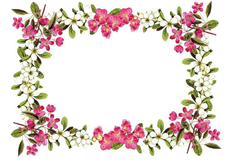 Flowers Borders Transparent PNG Image