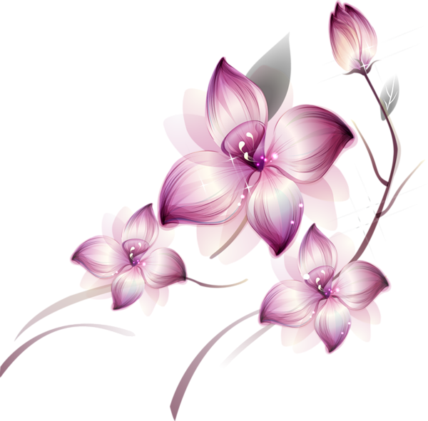 Flowers Transparent PNG Image