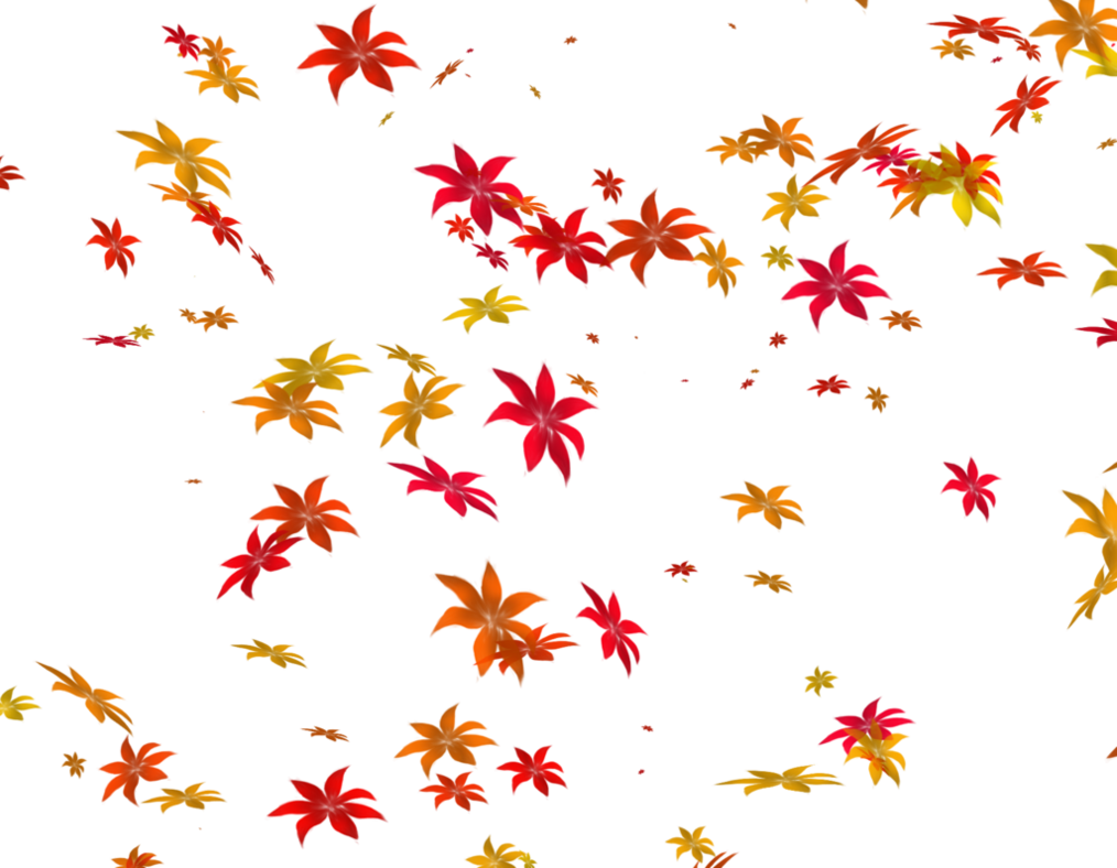 Flowers 4 Transparent PNG Image