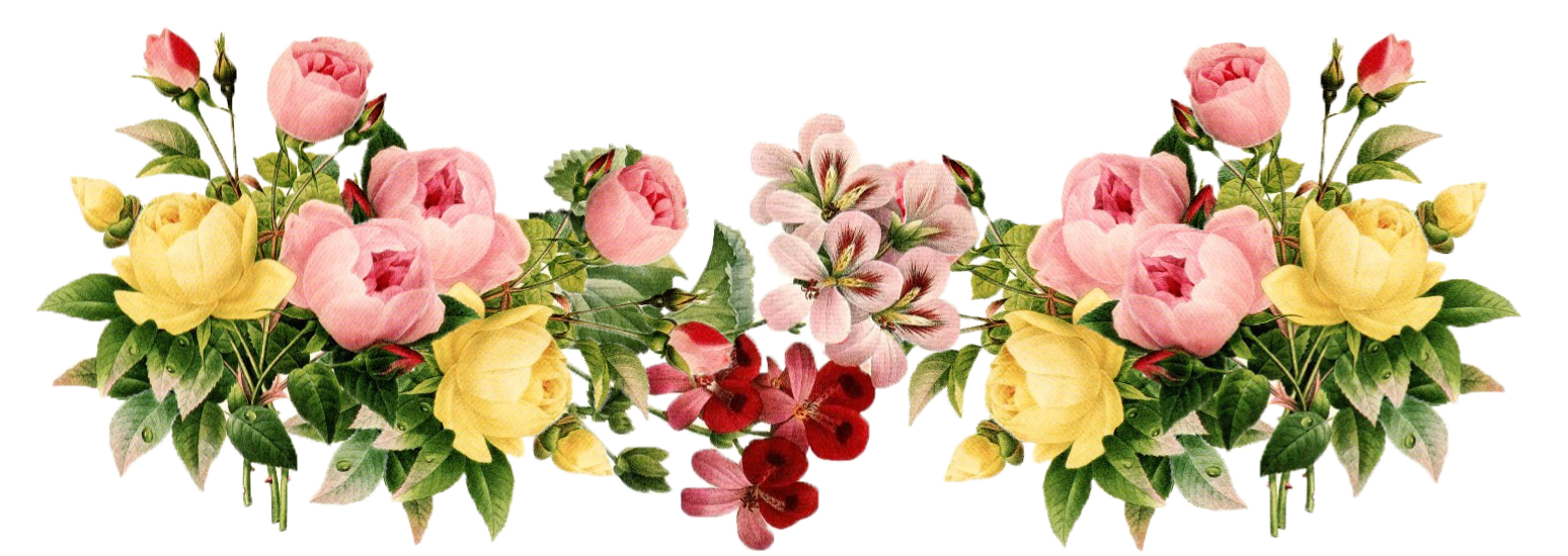 Flowers 3 Transparent PNG Image