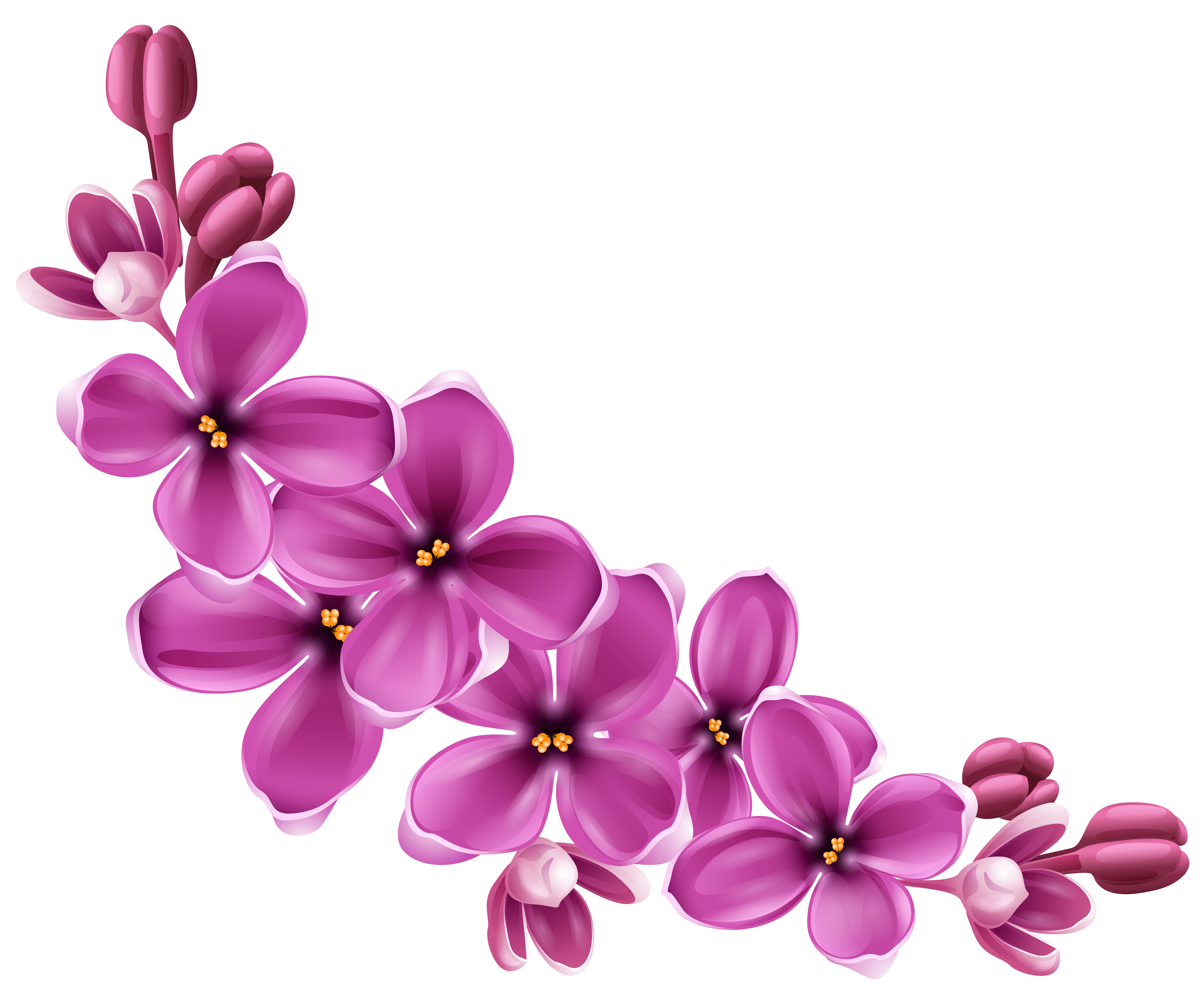 Flowers 9 Transparent PNG Image