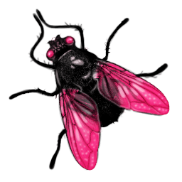 Fly Transparent PNG Image