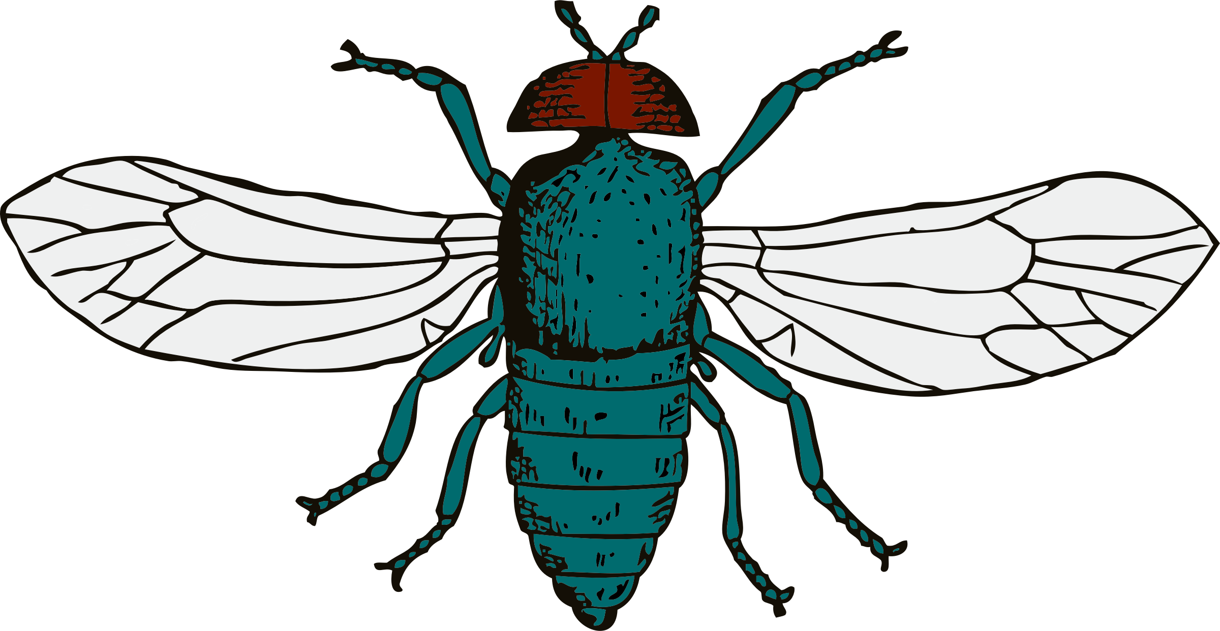 Fly 9 Transparent PNG Image