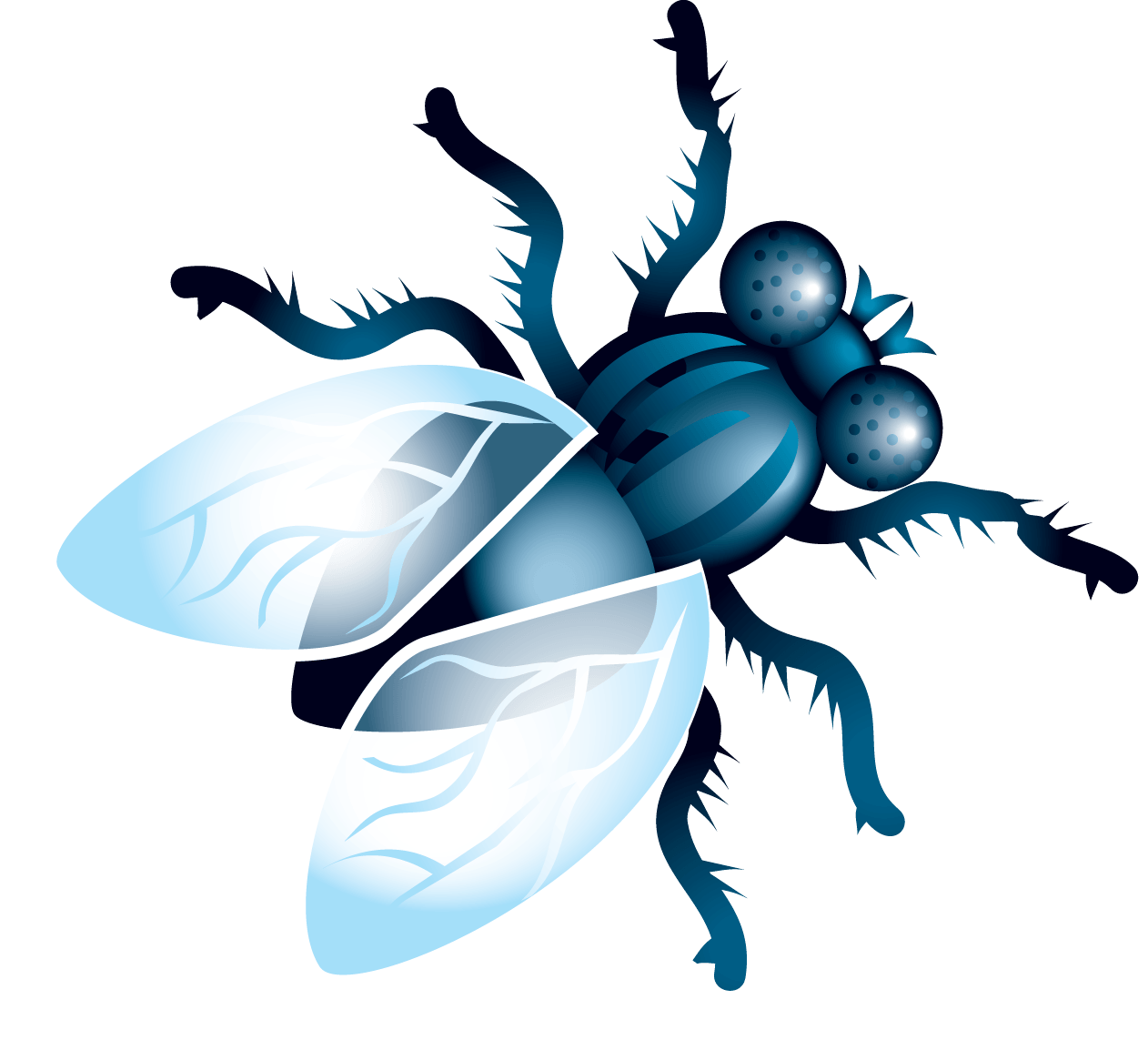 Fly Transparent PNG Image